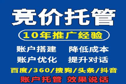 竞价广告的投放时机与频次选择——基于案例的探讨